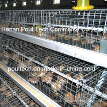 Chicken Farm Pullet Chicken Cage (New Type)
